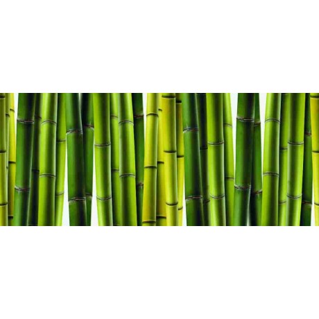 Dekor szklany Bambus 2 25x60