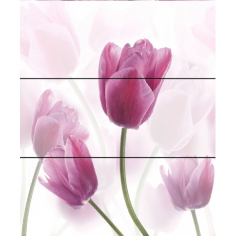 Tulipa Komplet 60x60
