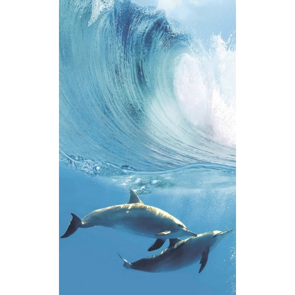 Dolphins A komplet 4*(25x60)