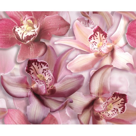 Orchid Lila komplet 2*(25x60)