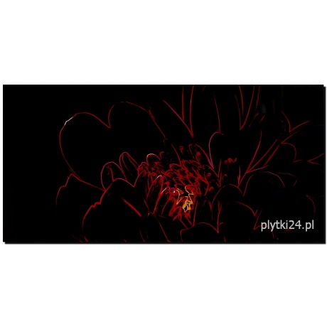 fluorescent flower red inserto 29,7x60